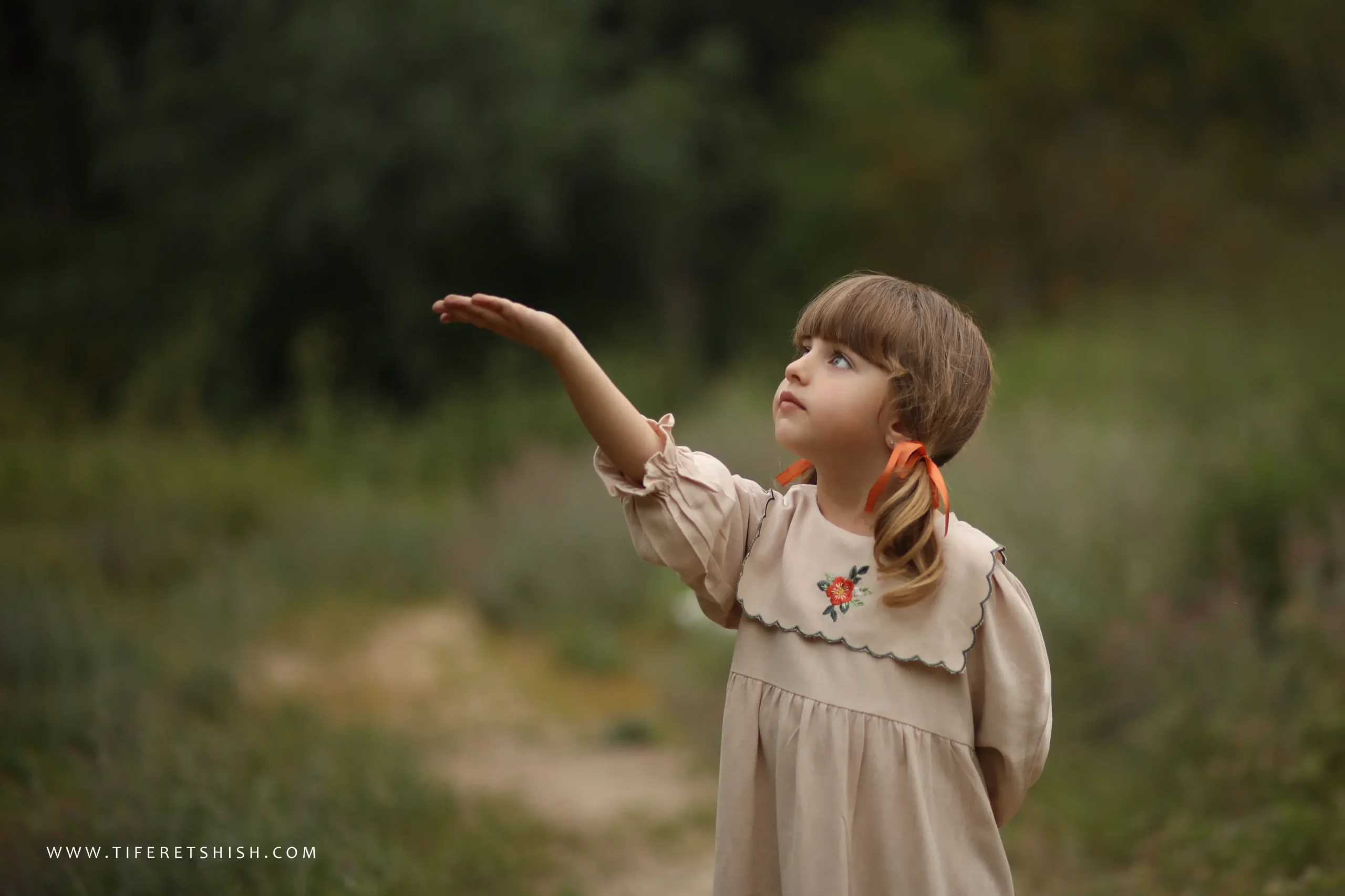 עלה כותרת 2 עיצוב וחיטוב הדמות