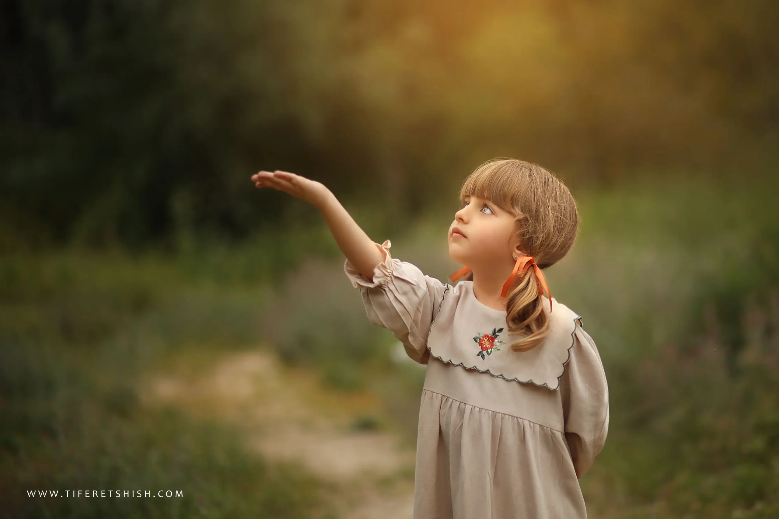 עלה כותרת 4 הוספת אור שמש וזוהר