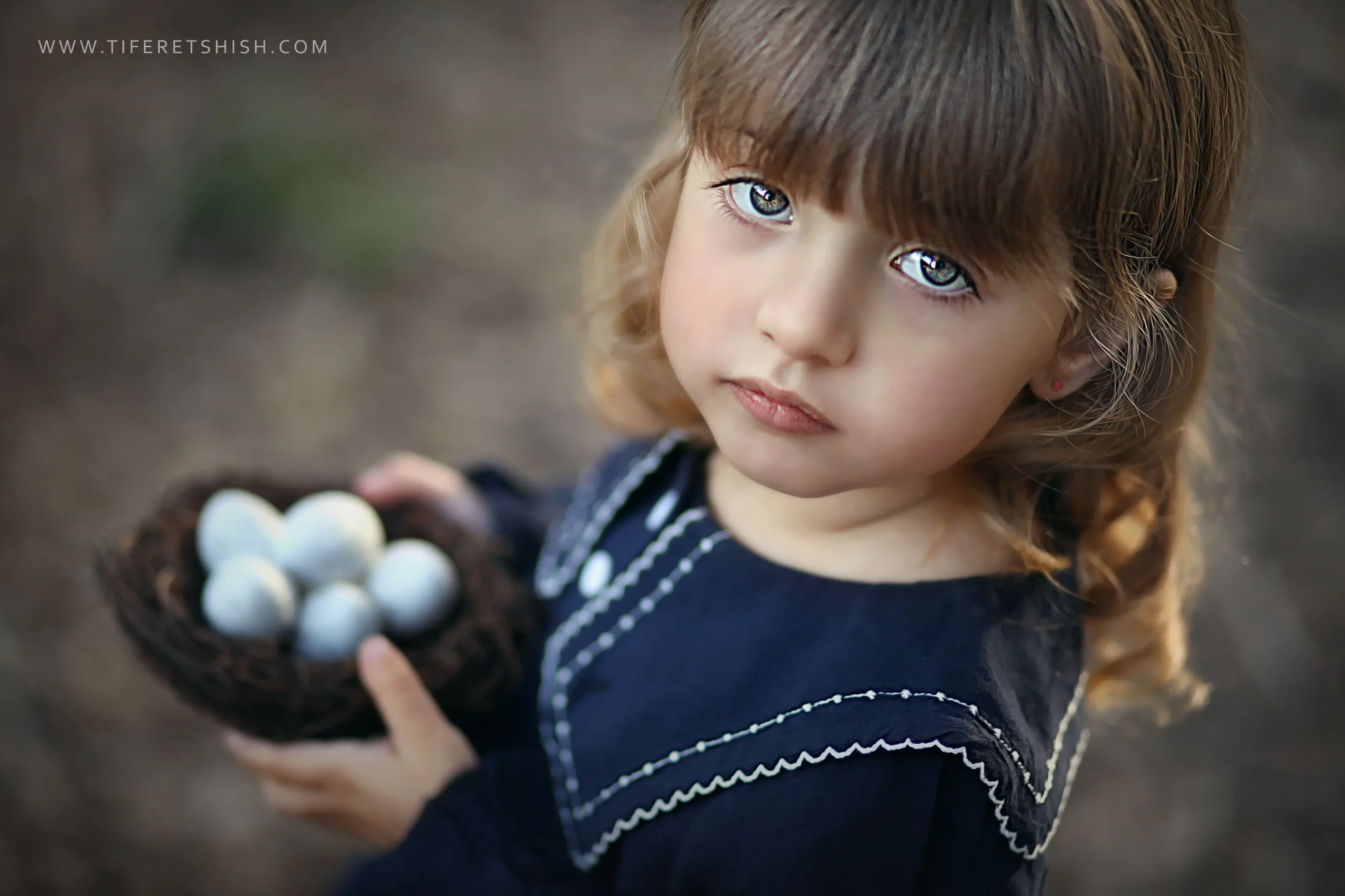 קן ציפור 7 תיקוני צבע