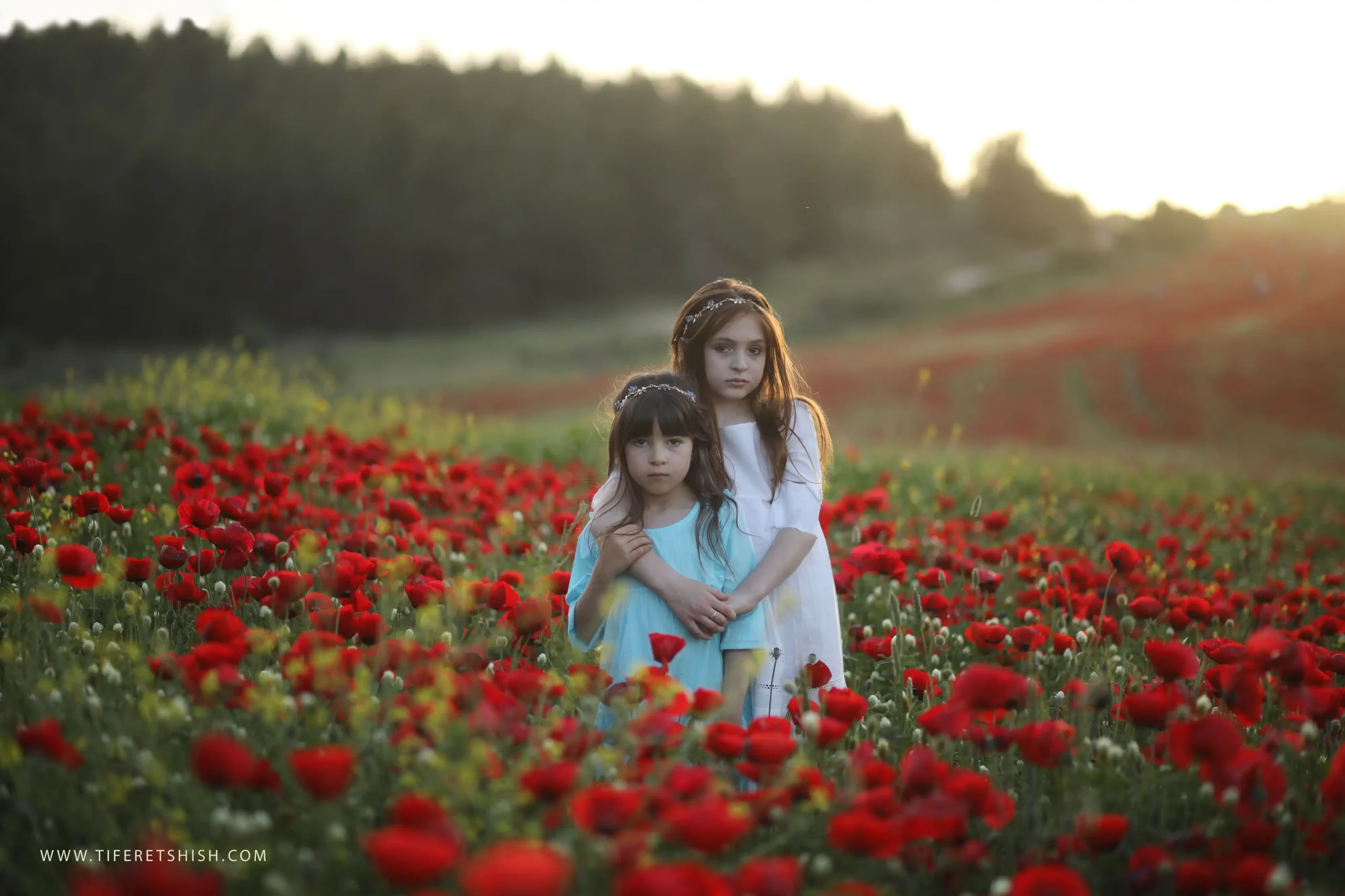 שדה כלניות 2 תיקוני SOS