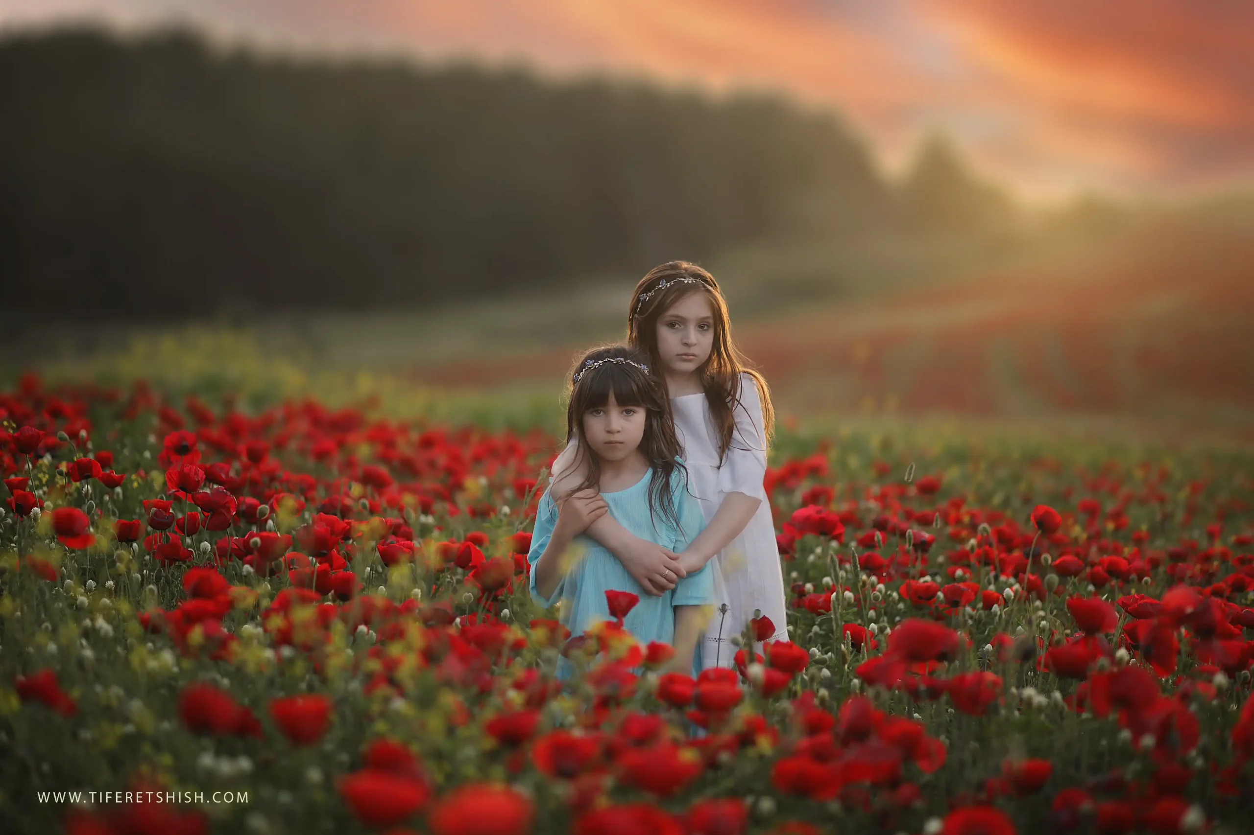 שדה כלניות 5 הוספת קרן שמש