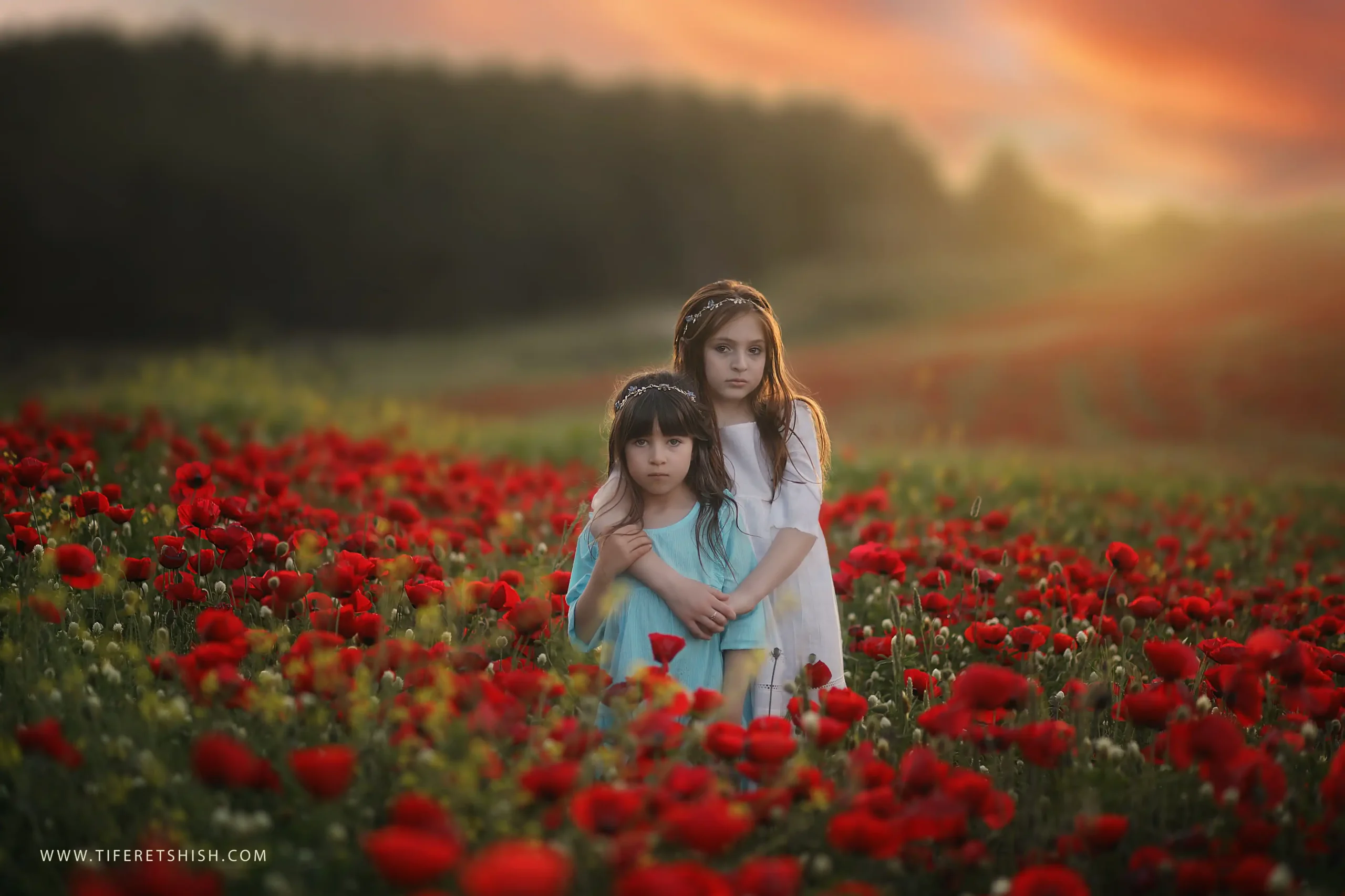 שדה כלניות 6 הוספת זוהר מתוך חבילת מגיק קולורס