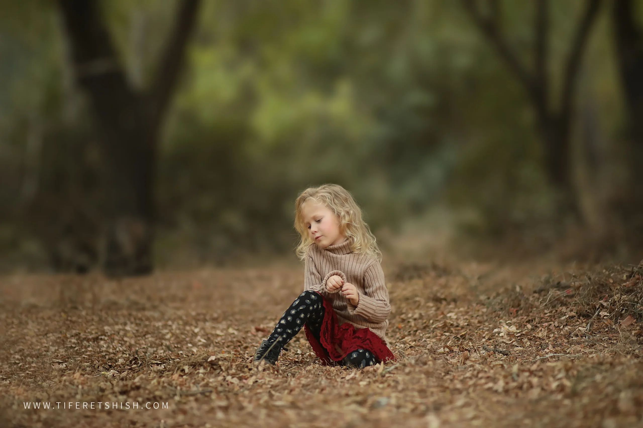 שלכת 4 הוספת בוקה שלכת 4 הוספת בוקה