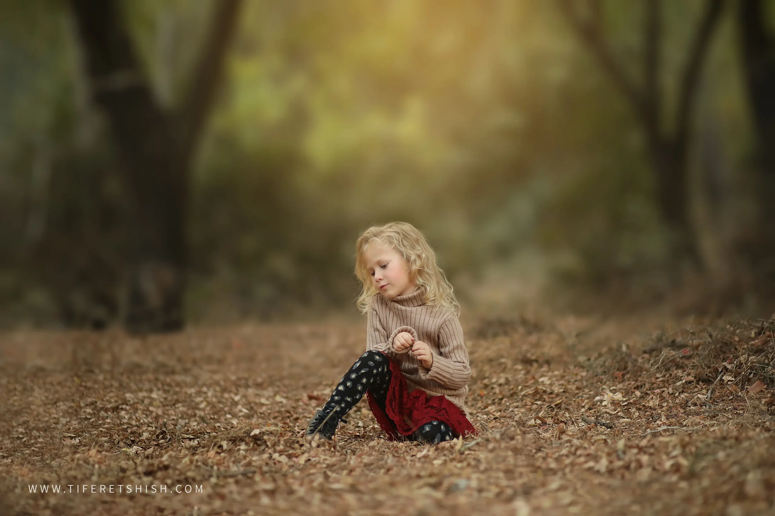 שלכת 5 הוספת קרן שמש קסומה שלכת 5 הוספת קרן שמש קסומה