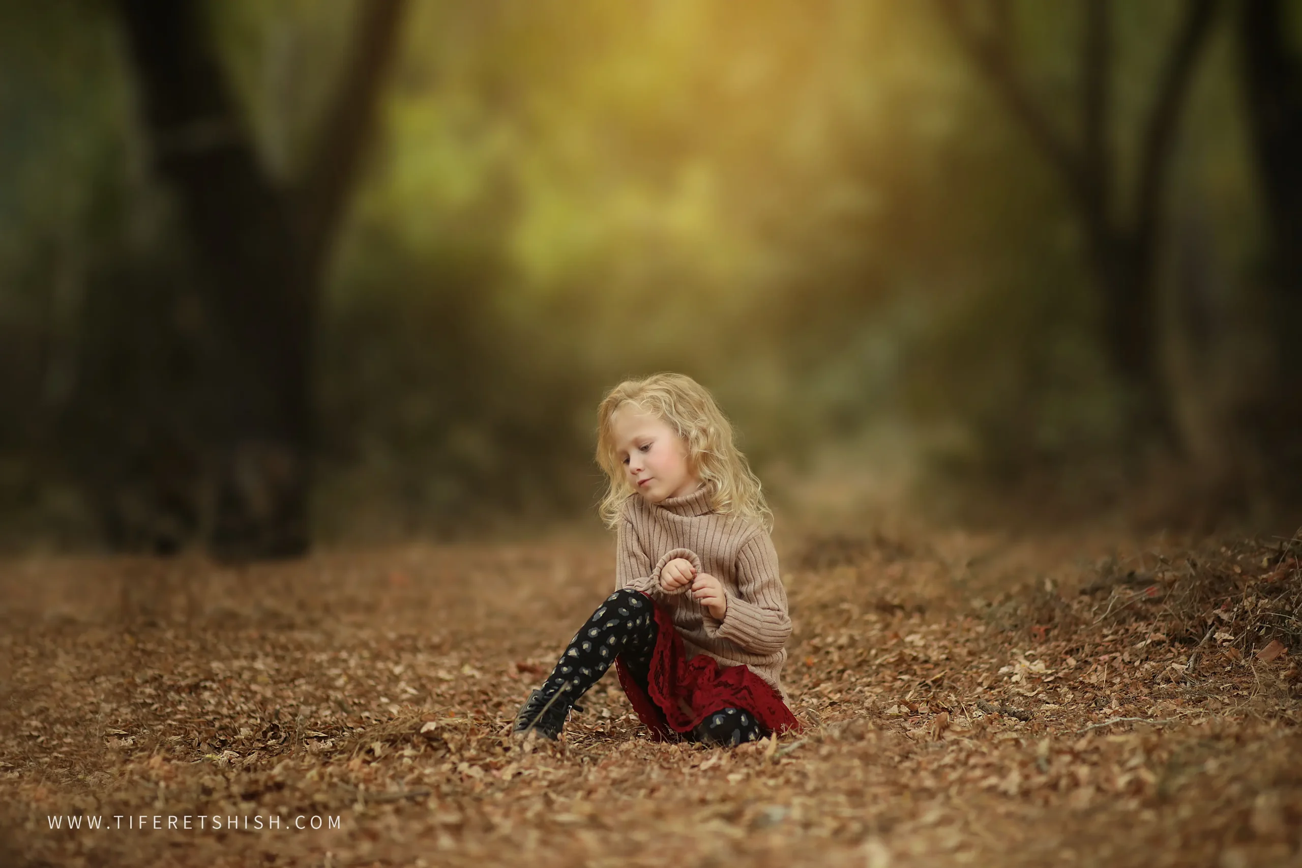 שלכת 6 הוספת זוהר שלכת 6 הוספת זוהר