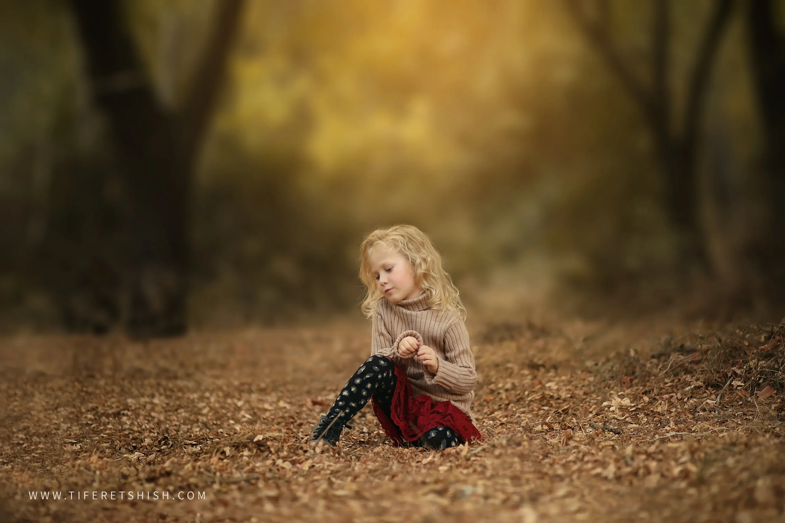 שלכת 7 הוספתי אקשן מראה סתוי בצורה עדינה שלכת 7 הוספתי אקשן מראה סתוי בצורה עדינה