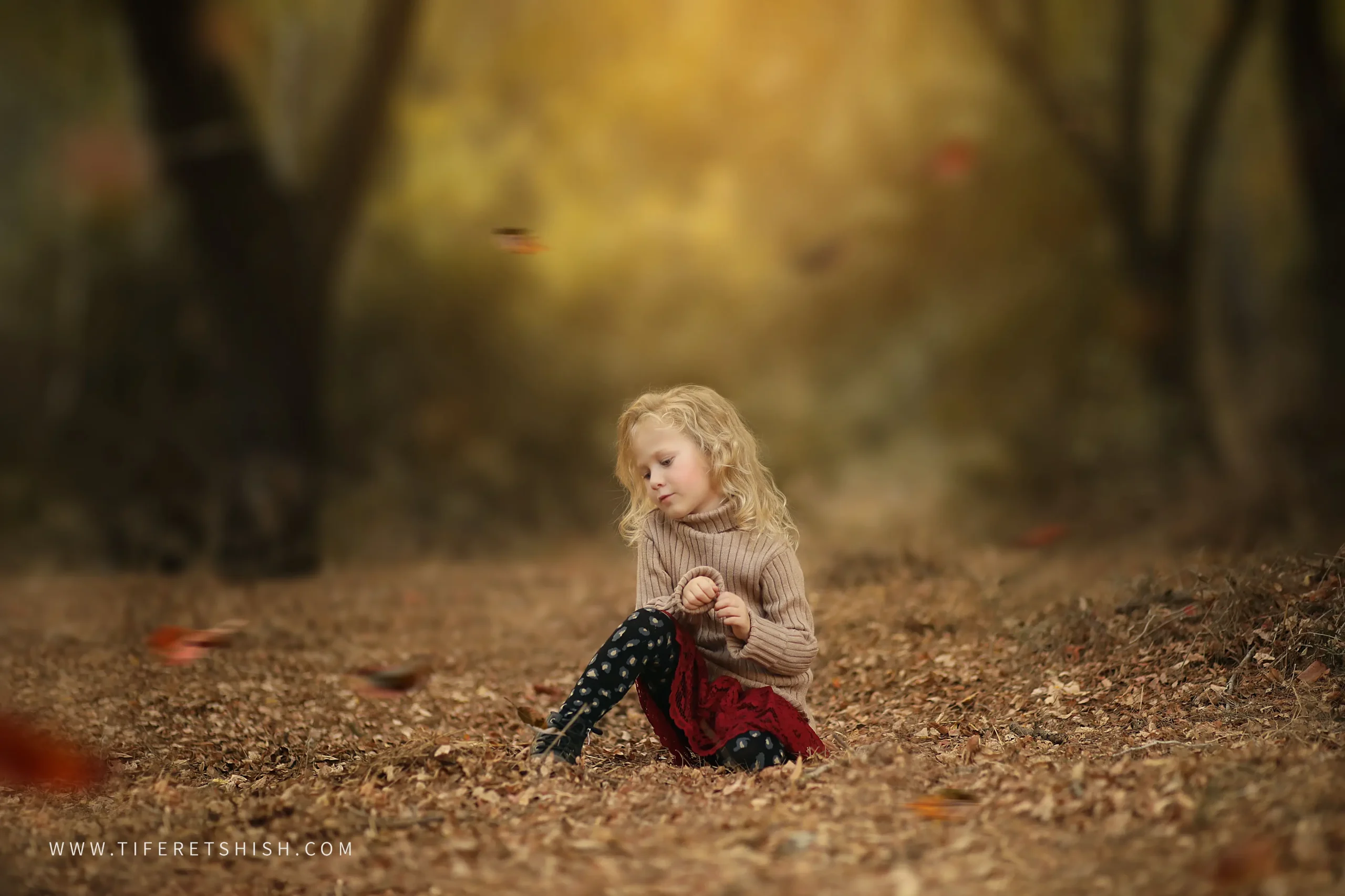 שלכת 8 הוספתי עלים של סתיו שלכת 8 הוספתי עלים של סתיו