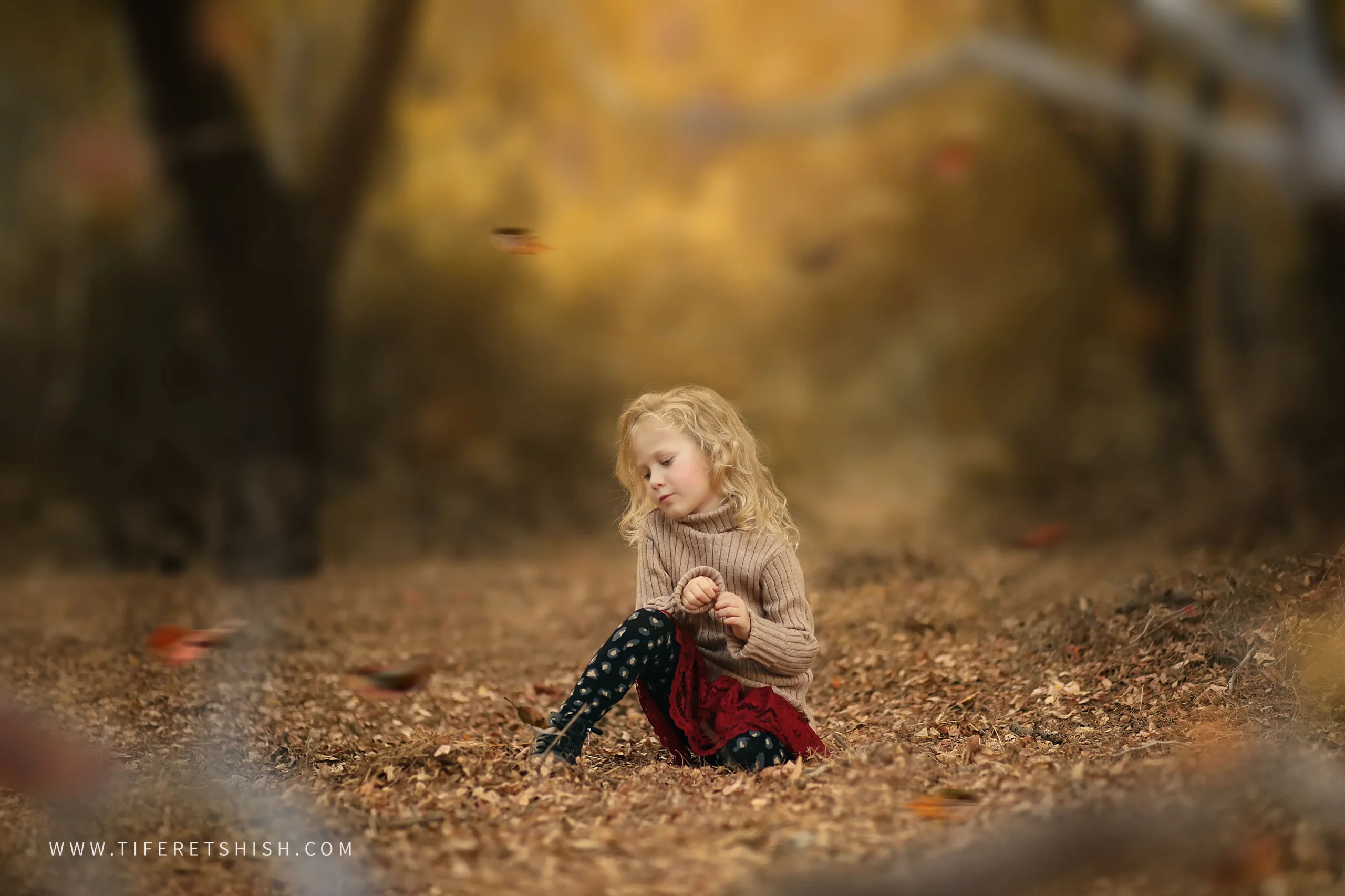 שלכת 9 הוספתי ענפים להעצמתץ העומק והתלת מימדיות שלכת 9 הוספתי ענפים להעצמתץ העומק והתלת מימדיות